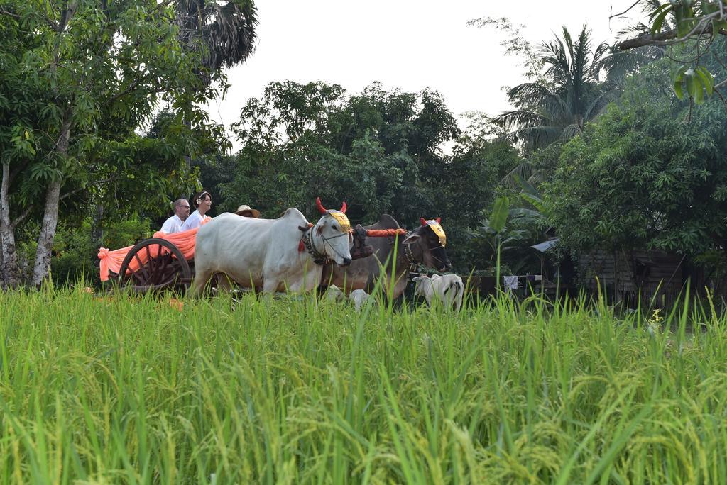 Angkor Rural Boutique Resort Siem Reap Exterior foto
