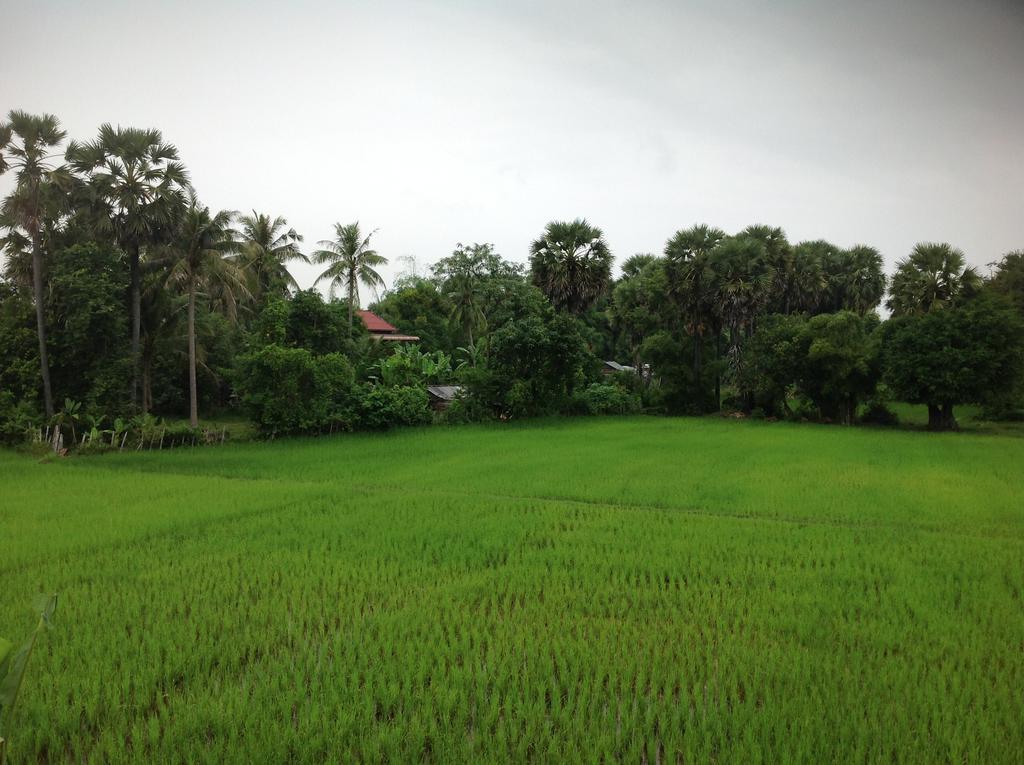 Angkor Rural Boutique Resort Siem Reap Exterior foto